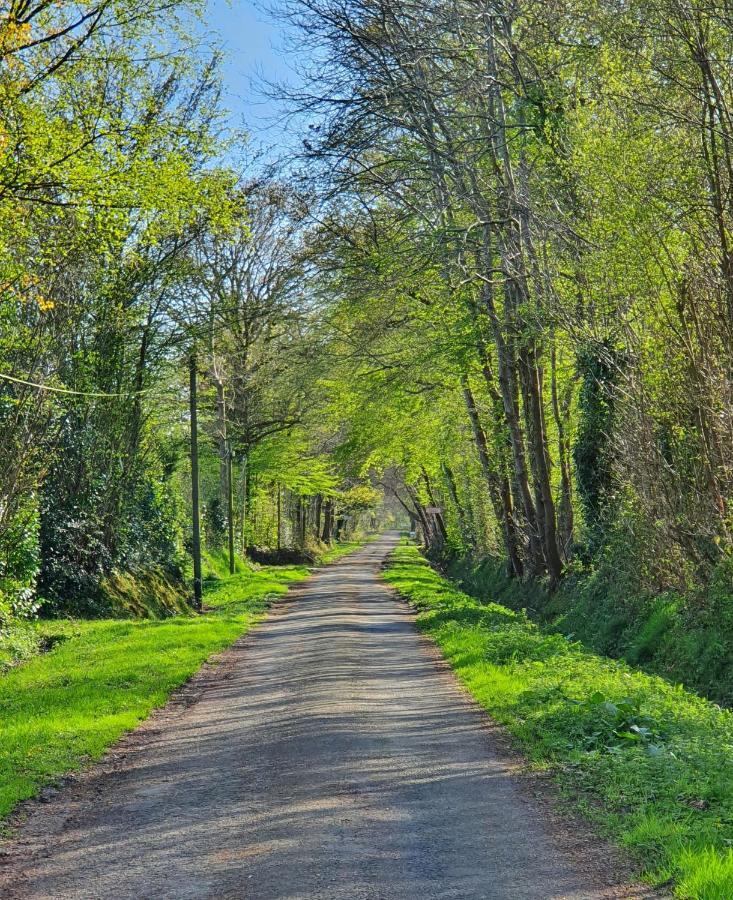 Le Clos Joly 14 Saint-Gâtien-des-Bois Kültér fotó